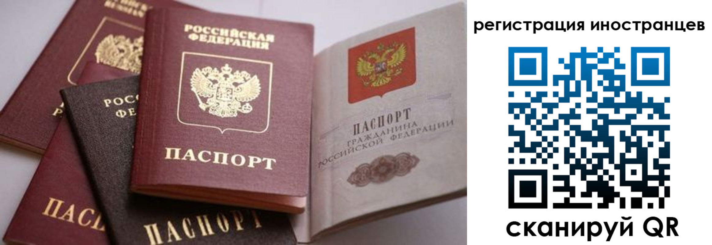 прописка штамп в Аркадаке